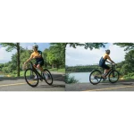 efficient electric bike