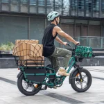 cargo electric bike for carrying groceries