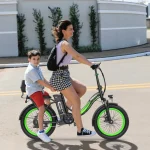 family folding electric bike