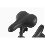 comfortable electric bike