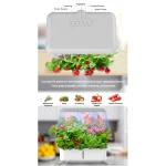 hydroponic planting machine for many plants at the time