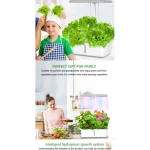 hydroponic planting machine is an ideal gift