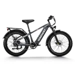 electric bike with all-terrain capabilities