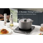 high-power induction burner