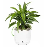 pet plant companion