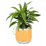 nice interactive flowerpot