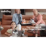 robot husky interactif