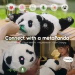 compagnon câlin intelligent