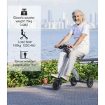 tricycle électrique portable