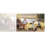 Tricycle électrique à 3 roues