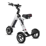 tricycle électrique léger