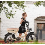 vélo électrique à frein hydraulique