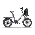 transmission par courroie en carbone