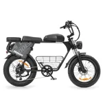 Vélo électrique à double batterie