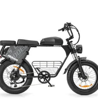 Vélo électrique à double batterie