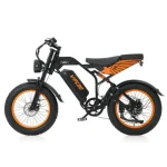 Vélo électrique de type cyclomoteur