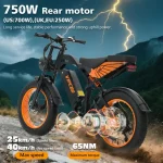 vélo électrique puissant