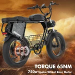 Vélo électrique 750 W