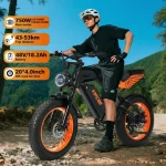 Vélo électrique 750 W