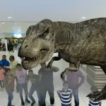 Animation d'animaux en 3D