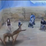 Panneau mural de zoo en réalité augmentée