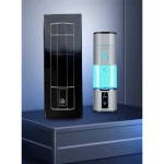 Ioniseur d'eau portable