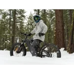 Vélo électrique à gros pneus