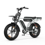 vélo électrique puissant